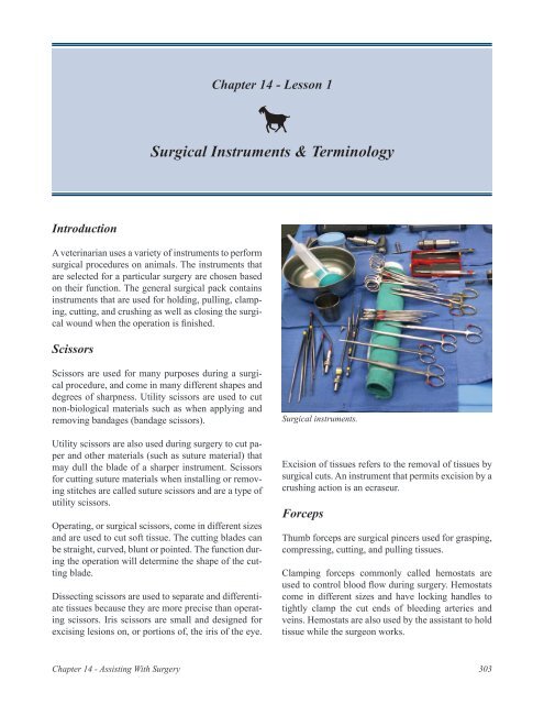 Chapter 14 - Lesson 1 Surgical Instruments & Terminology