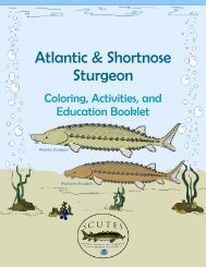 Atlantic & Shortnose Sturgeon - National Marine Fisheries Service ...