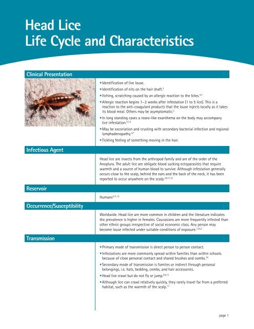 Head Lice Life Cycle & Characteristics