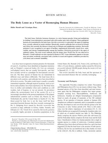 The Body Louse as a Vector of Reemerging Human Diseases