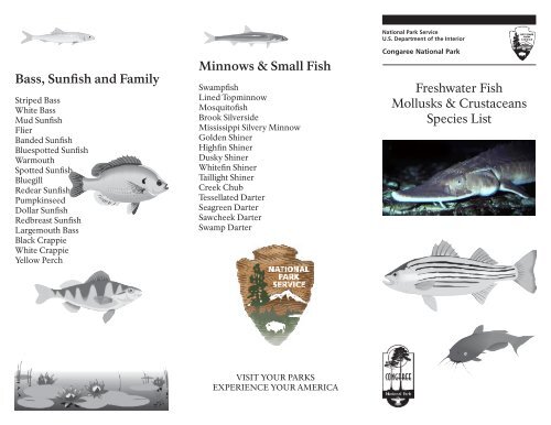 Freshwater Fish Mollusks & Crustaceans Species List Minnows