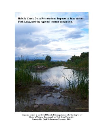 Hobble Creek Delta Restoration: impacts to June sucker, Utah Lake ...