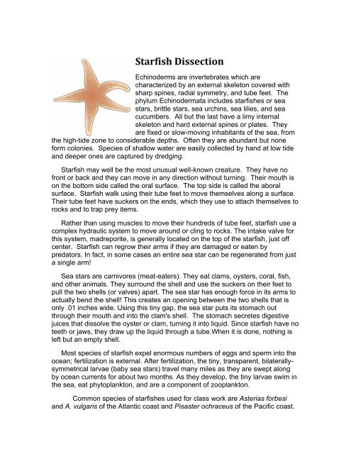 starfish summary
