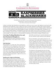 Home Garden Raspberries and Blackberries - UGA College of ...