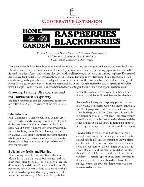 Home Garden Raspberries and Blackberries - UGA College of ...