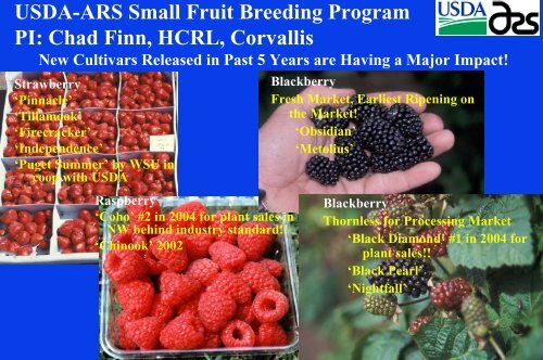 Strawberry Cultivars for the West Coast