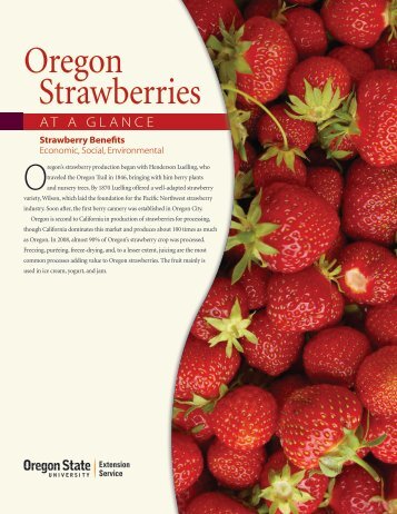 Strawberries - ScholarsArchive at Oregon State University