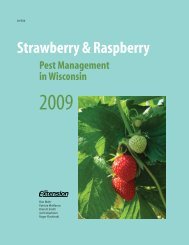 Strawberry and Raspberry Pest Management in Wisconsin