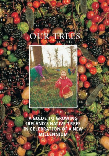 A guide to growing Ireland's native trees in - Tree Council of Ireland