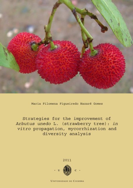 Strategies for the improvement of Arbutus unedo L. (strawberry tree ...