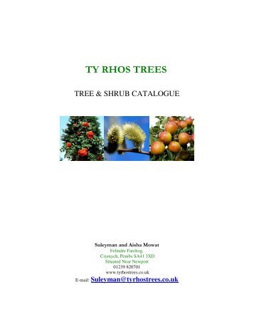 Main catalogue - Ty Rhos Trees