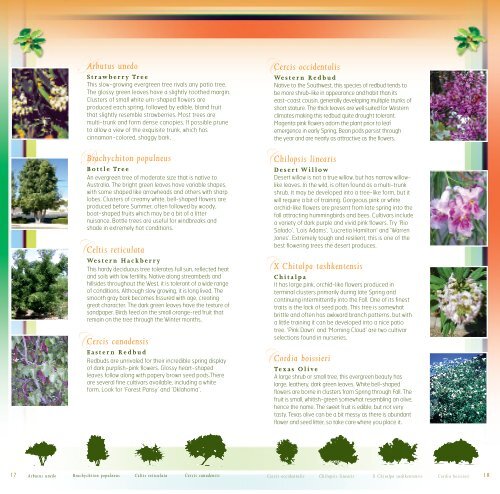 trees for Tomorrow.pdf - Nevada Division of Forestry