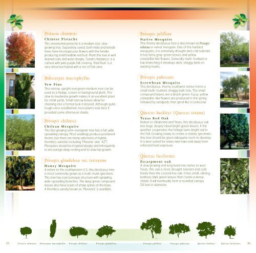 trees for Tomorrow.pdf - Nevada Division of Forestry