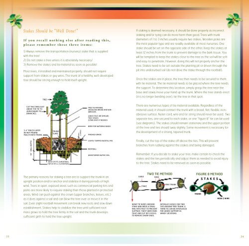 trees for Tomorrow.pdf - Nevada Division of Forestry