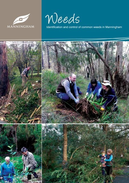 Weeds Identification (PDF, 13MB, new window) - Manningham City ...