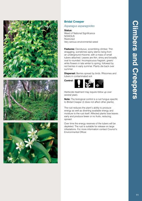 Weeds Identification (PDF, 13MB, new window) - Manningham City ...