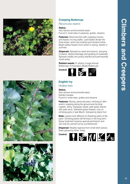 Weeds Identification (PDF, 13MB, new window) - Manningham City ...