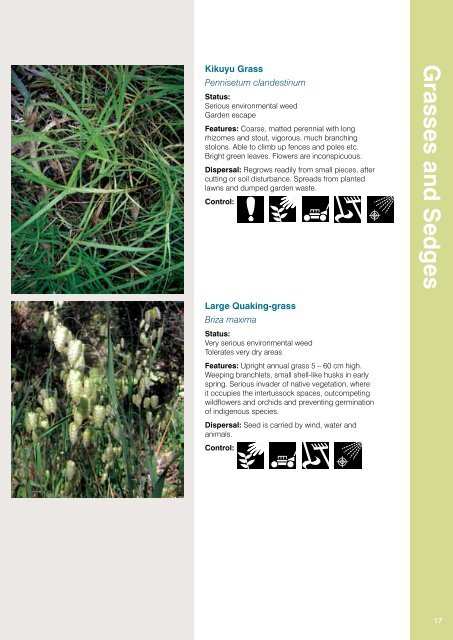 Weeds Identification (PDF, 13MB, new window) - Manningham City ...