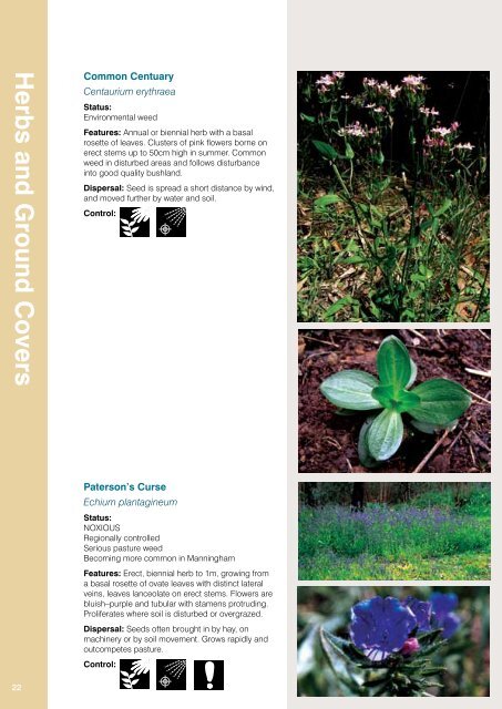 Weeds Identification (PDF, 13MB, new window) - Manningham City ...