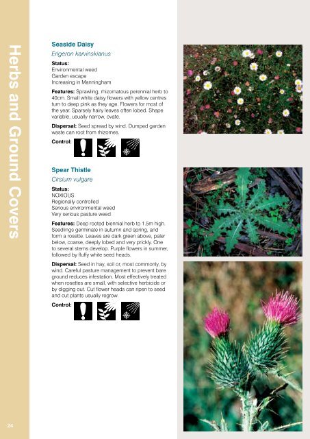 Weeds Identification (PDF, 13MB, new window) - Manningham City ...