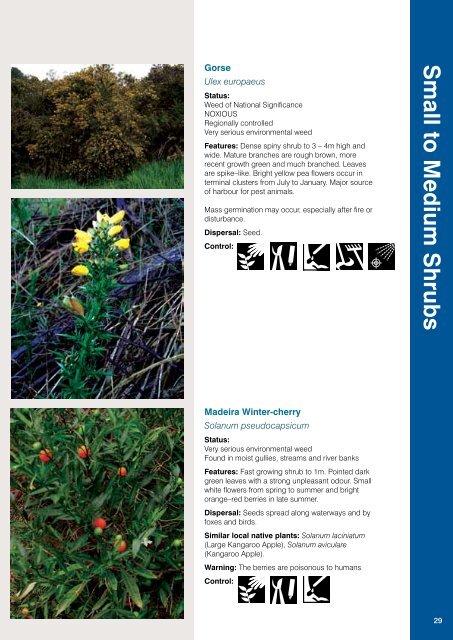 Weeds Identification (PDF, 13MB, new window) - Manningham City ...