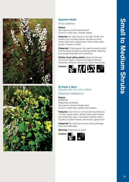 Weeds Identification (PDF, 13MB, new window) - Manningham City ...