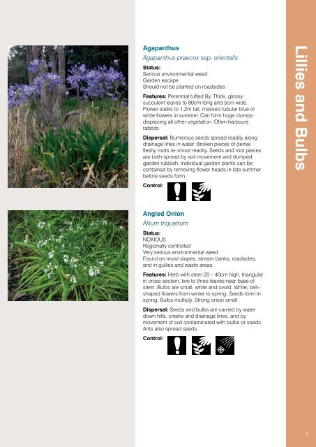 Weeds Identification (PDF, 13MB, new window) - Manningham City ...