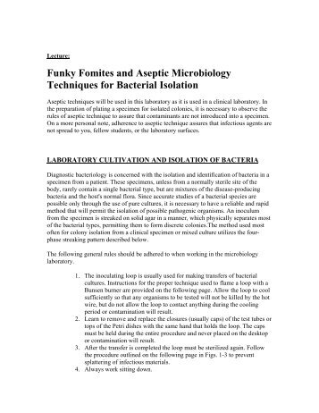 Funky Fomites and Aseptic Microbiology Techniques for Bacterial ...