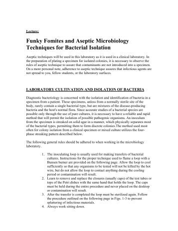 microbiology aseptic technique lab observations microbiology aseptic technique lab observations