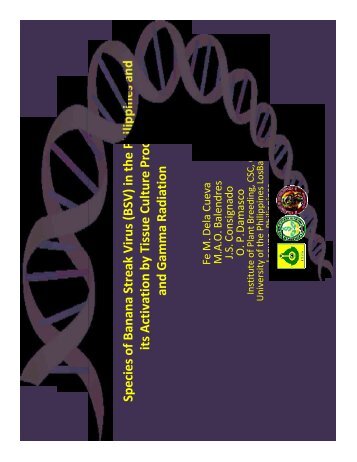 Species of Banana Streak Virus (BSV) in the Philippines and its ...