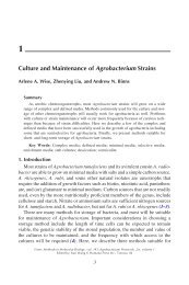 Culture and Maintenance of Agrobacterium Strains