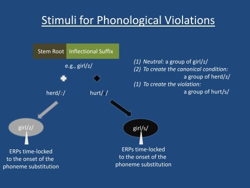 Distinct Processing of Phonological and Syntactic Violations in ...