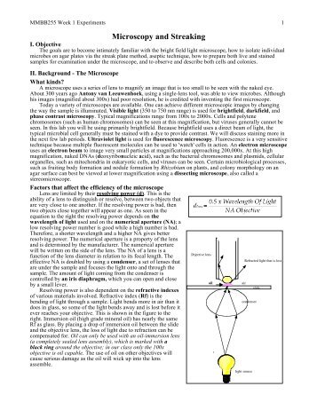 Microscopy and Streaking - Multiple Choices