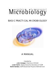 BASIC PRACTICAL MICROBIOLOGY A MANUAL - Cuteri.eu