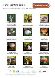 Fungi spotter sheet - Visit Woods