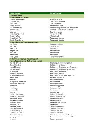 GTM formatted species list 20Apr07.xlsx