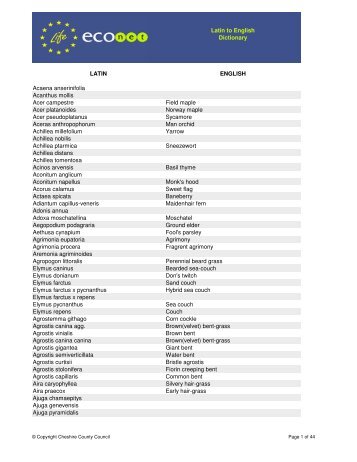 Oxford Dictionaries