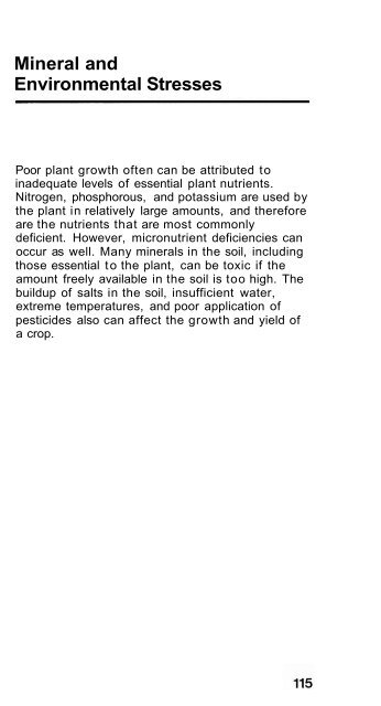 Wheat Diseases and Pests - Wheat Doctor - CIMMYT