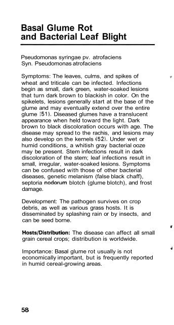 Wheat Diseases and Pests - Wheat Doctor - CIMMYT