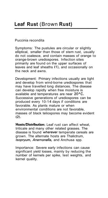 Wheat Diseases and Pests - Wheat Doctor - CIMMYT