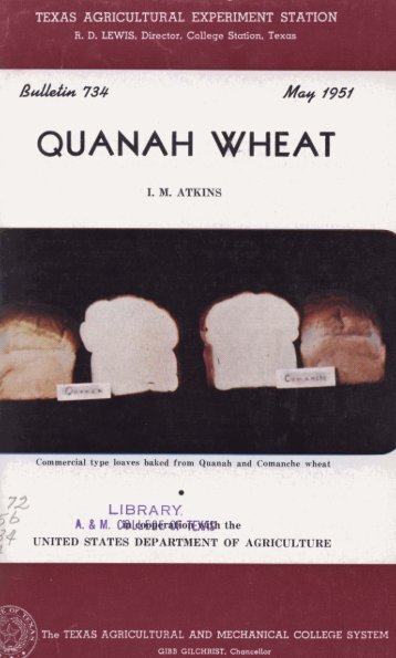 QUANAH WHEAT - Repository