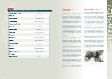 A management guide to thrips and tospovirus