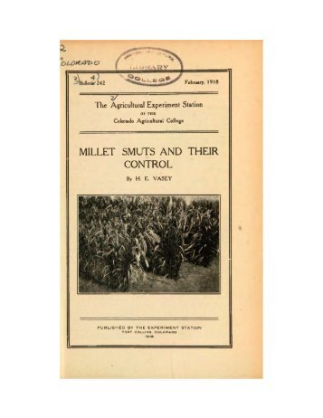 MILLET SMUTS AND THEIR CONTROL