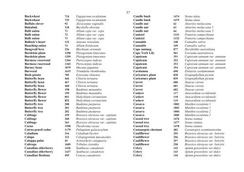 Food Composition PNG plants - Food Plants International