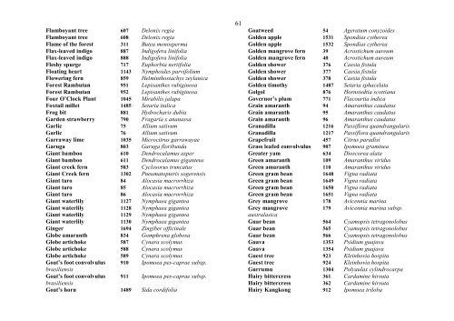 Food Composition PNG plants - Food Plants International