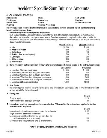 AFLAC - Personal Accident Indemnity Plan (pdf) - Cal Poly ...