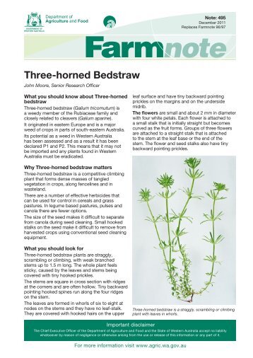 Three-horned Bedstraw - Department of Agriculture and Food