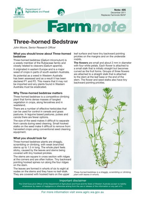 Three-horned Bedstraw - Department of Agriculture and Food