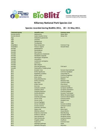 Killarney National Park BioBlitz 2011 Species List - Irelands' BioBlitz ...
