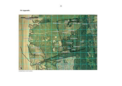 The impact of sand extraction at Formby Point ... - Sefton Council